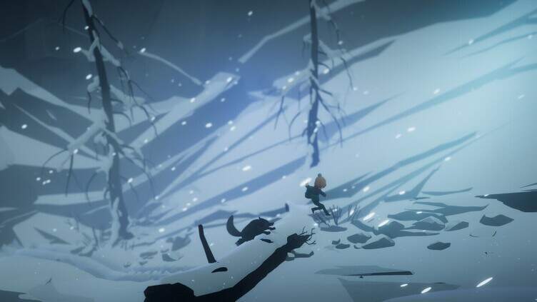 #DRIVE Rally Screenshot 5