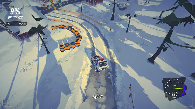 #DRIVE Rally Screenshot 6