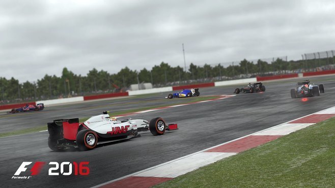 F1™ 2016 Screenshot 7