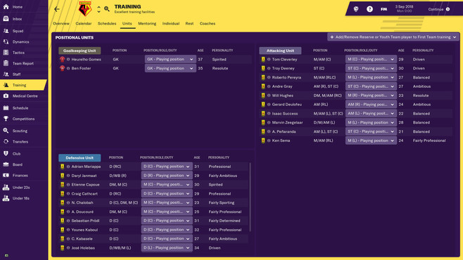 Football Manager 2019 Screenshot 6