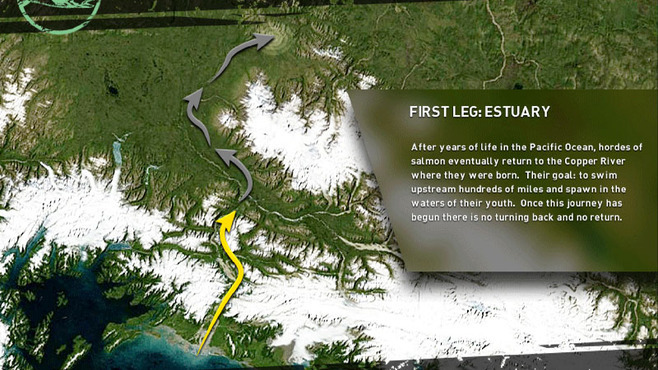 Great Migrations Screenshot 4