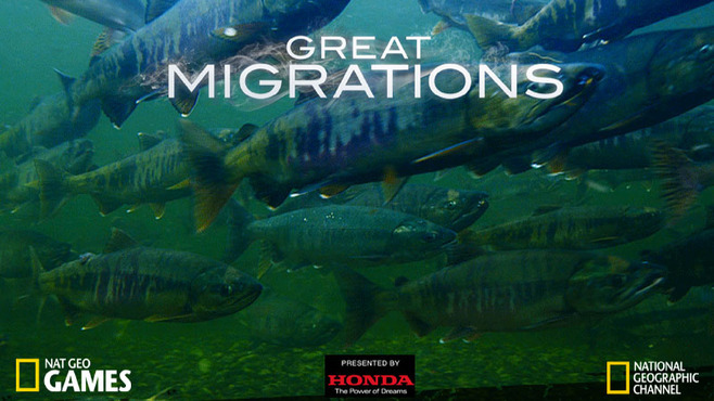 Great Migrations Screenshot 6