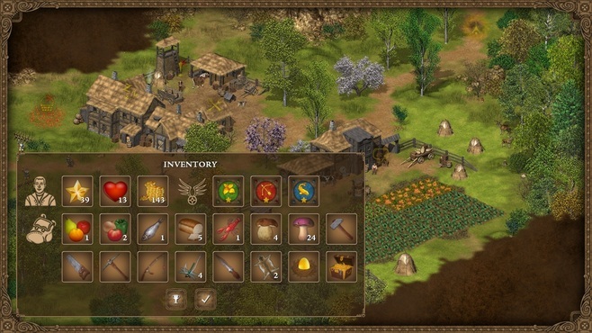 Hero of the Kingdom Screenshot 3