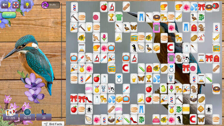 Hidden Pairs 3: Lovely Birds Screenshot 4