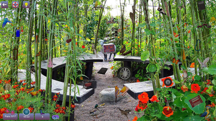 Hidden Pairs 3: Lovely Birds Screenshot 1