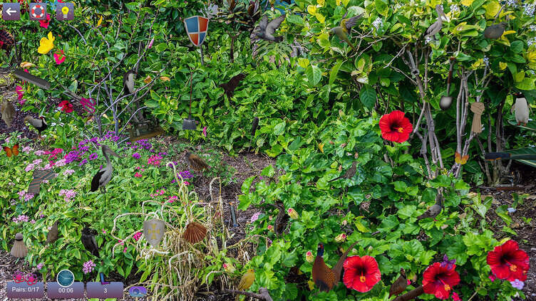 Hidden Pairs 3: Lovely Birds Screenshot 6