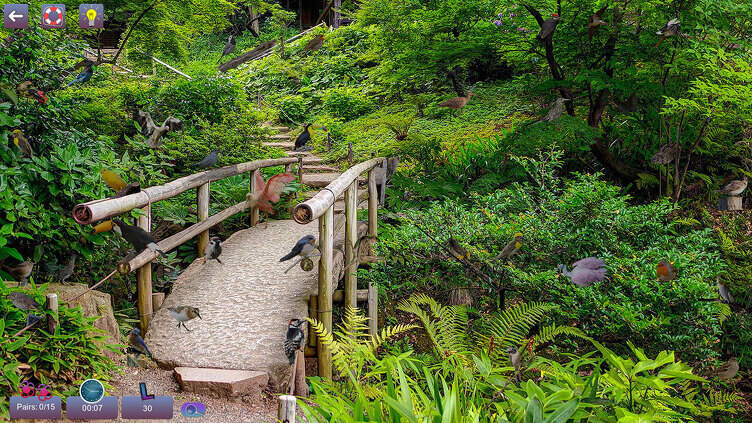 Hidden Pairs 3: Lovely Birds Screenshot 3