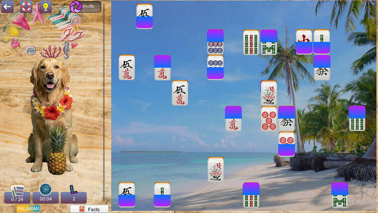 Hidden Pairs 4: Tropical Escapes Screenshot 2