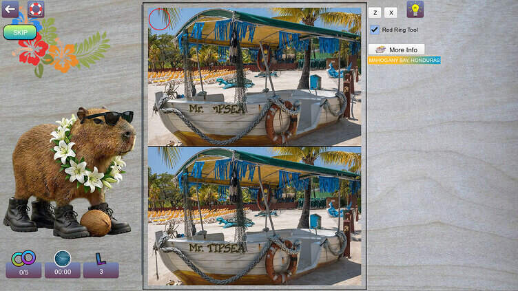 Hidden Pairs 4: Tropical Escapes Screenshot 3