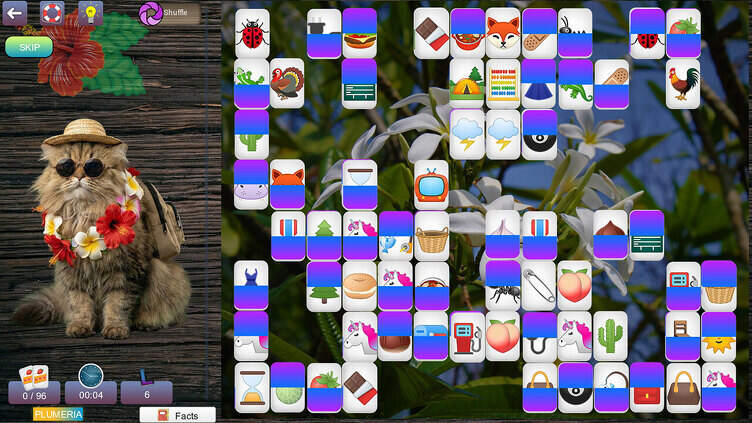 Hidden Pairs 4: Tropical Escapes Screenshot 4