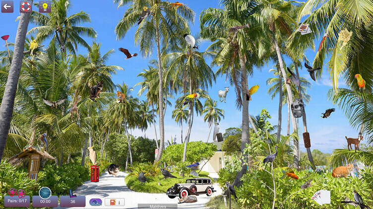 Hidden Pairs 4: Tropical Escapes Screenshot 1