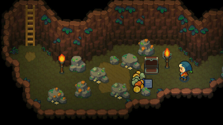 Moonstone Island Collector’s Edition Screenshot 4