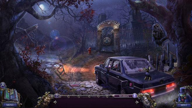 Mystery Trackers: Memories of Shadowfield Collector's Edition Screenshot 6