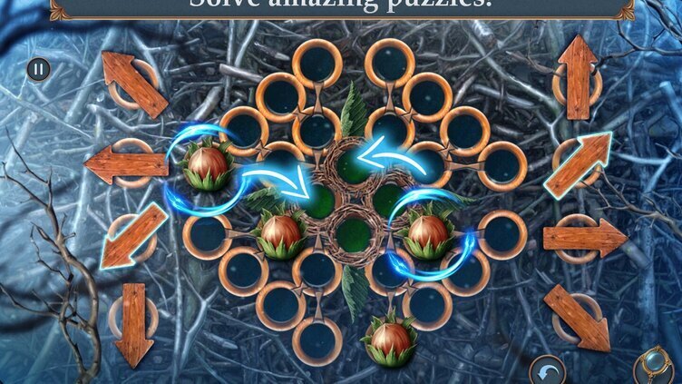 Myth Or Reality: Snowbound Secrets Collector's Edition Screenshot 3