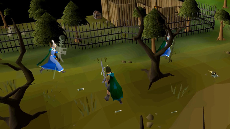 Old School RuneScape 12-Month Membership + OST Screenshot 9