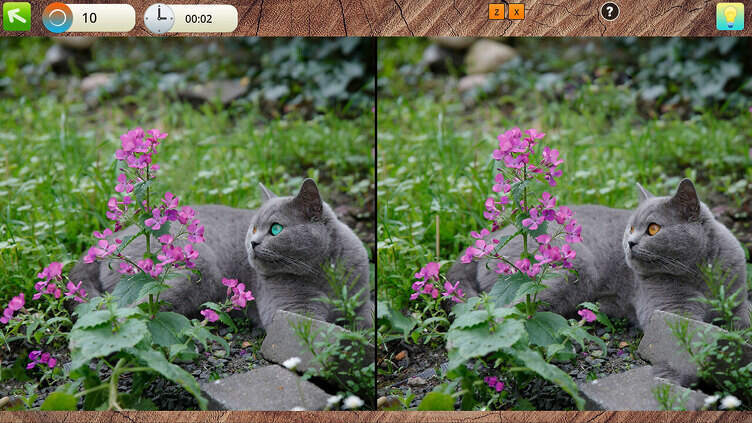 Peaceful Gardens 2: Cute Cats Collector's Edition Screenshot 2
