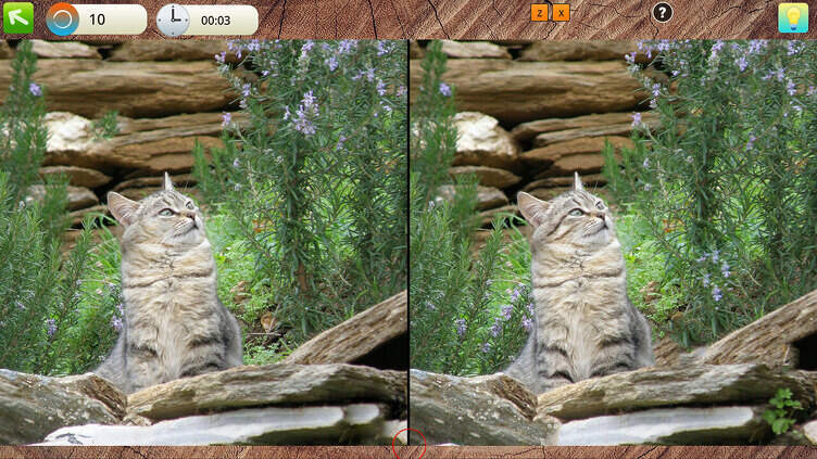 Peaceful Gardens 2: Cute Cats Collector's Edition Screenshot 3