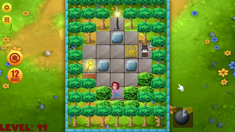 Push Puzzle - Rescue Adventure Screenshot 2