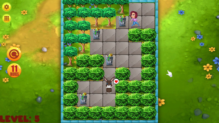 Push Puzzle - Rescue Adventure Screenshot 3