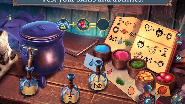 Royal Romances: Fortunes and Foes Collector's Edition Screenshot 2