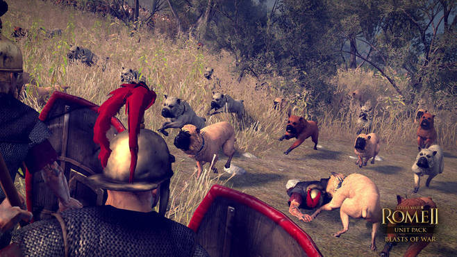 Total War™: ROME II - Beasts of War Screenshot 2